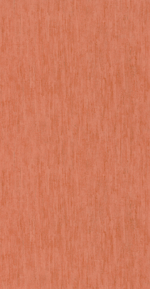 Beauty Full Color - BFCO84363208