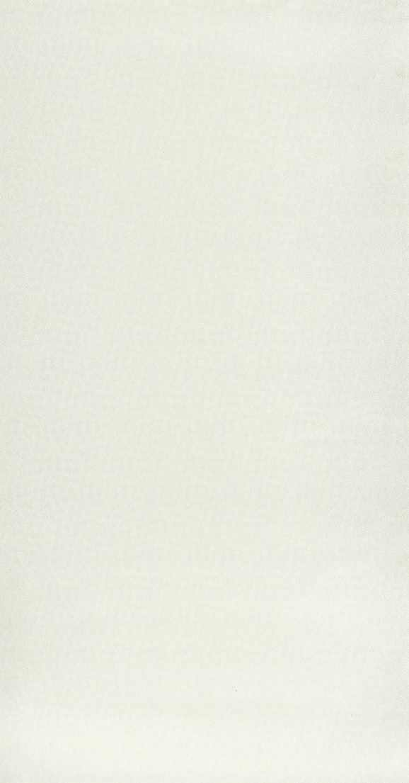 Beauty Full Color - BFCO84420121