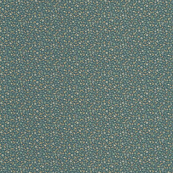 Myosotis - FLOM89236434