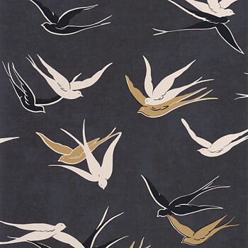 Swallow - TWNT88639595