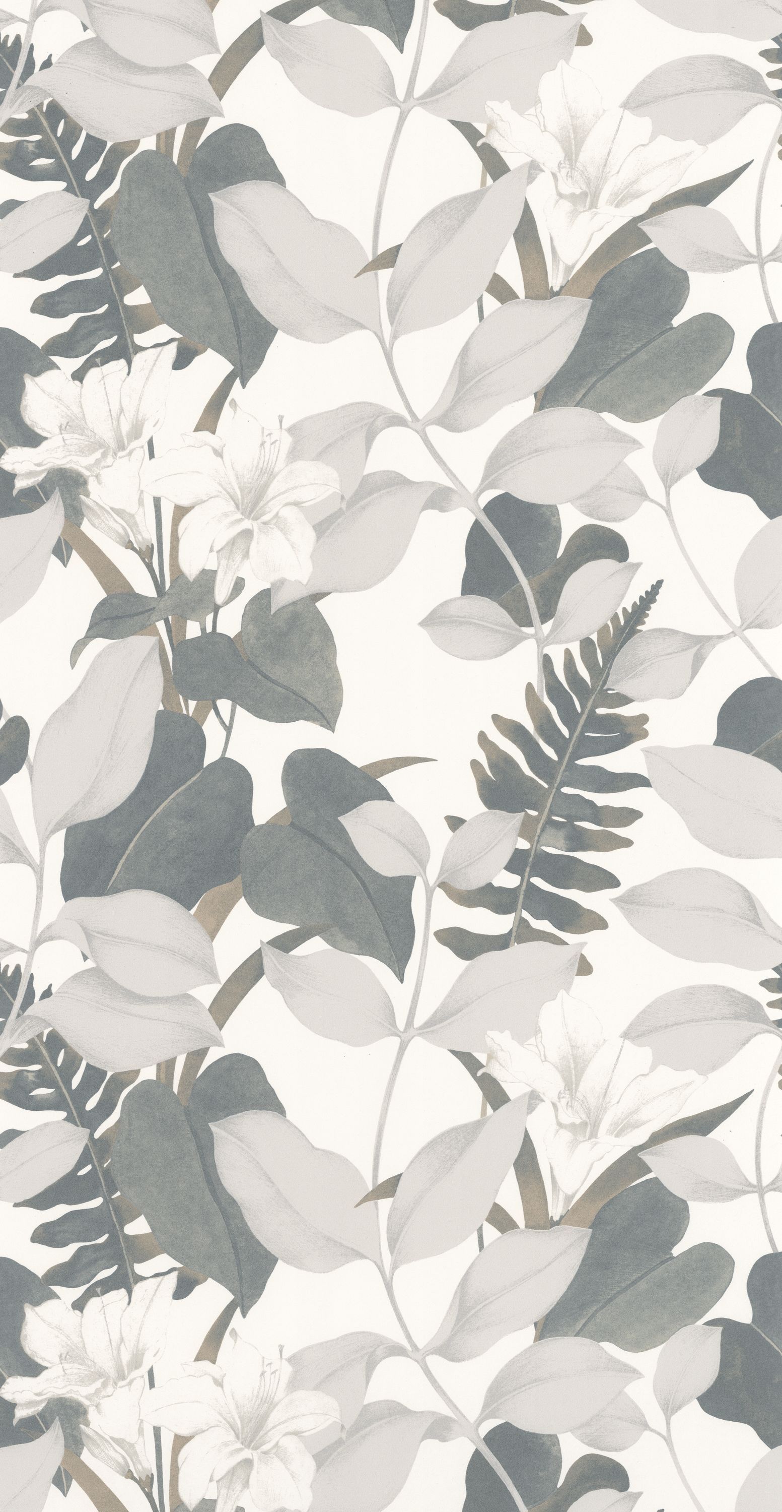 Royal Lily - SOLI200266666