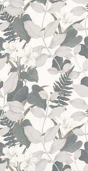 Royal Lily - SOLI200266666