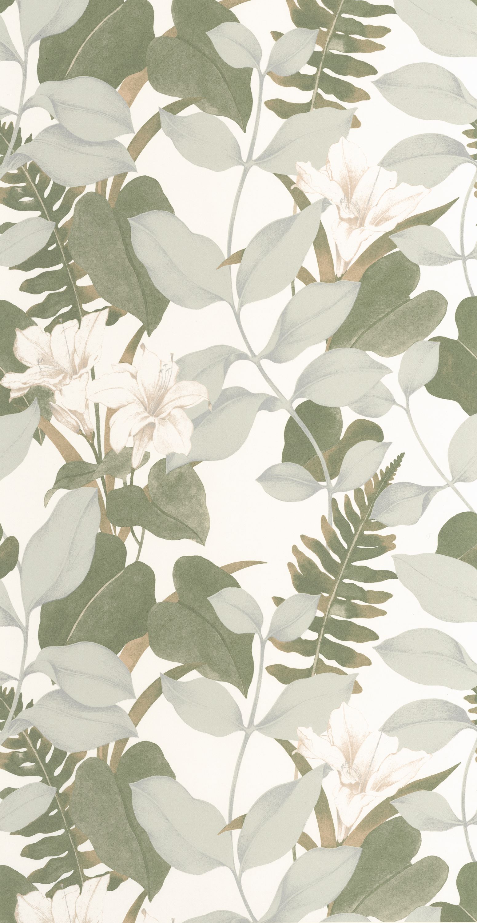 Royal Lily - SOLI200267212