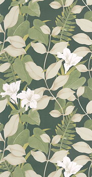 Royal Lily - SOLI200267808