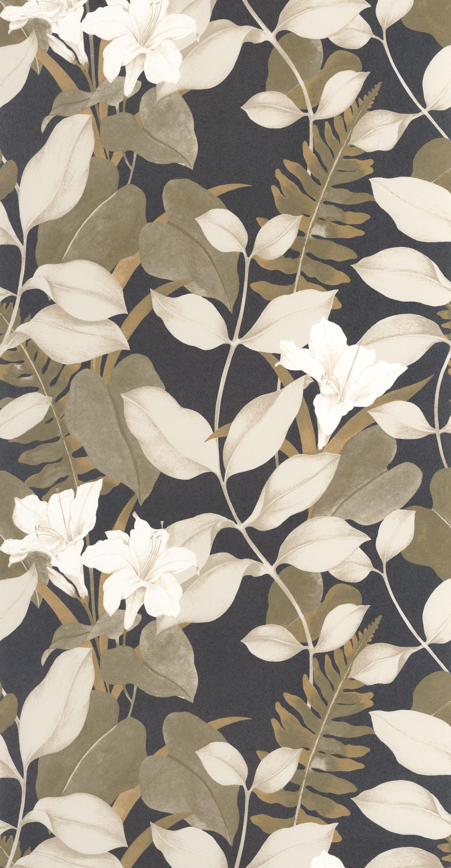 Royal Lily - SOLI200269519