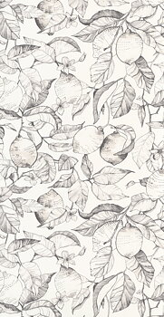 Lemon Tree - SOLI200270900