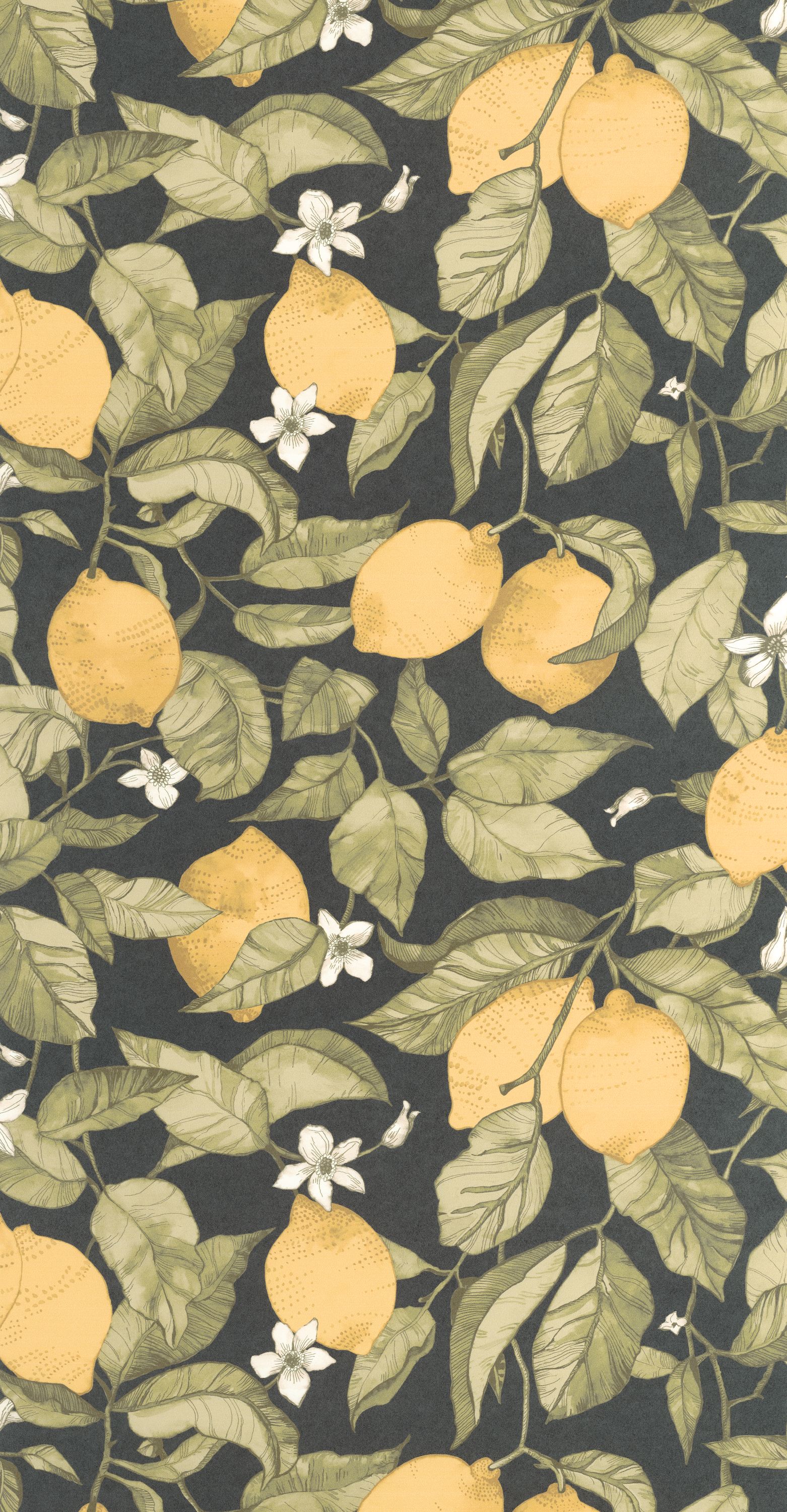 Lemon Tree - SOLI200272727