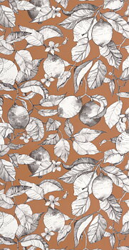 Lemon Tree - SOLI200273404