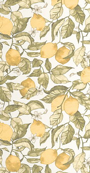 Lemon Tree - SOLI200277227