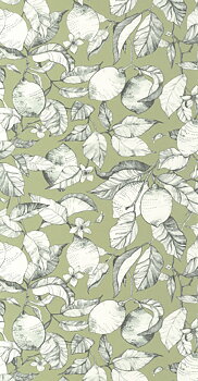 Lemon Tree - SOLI200277313