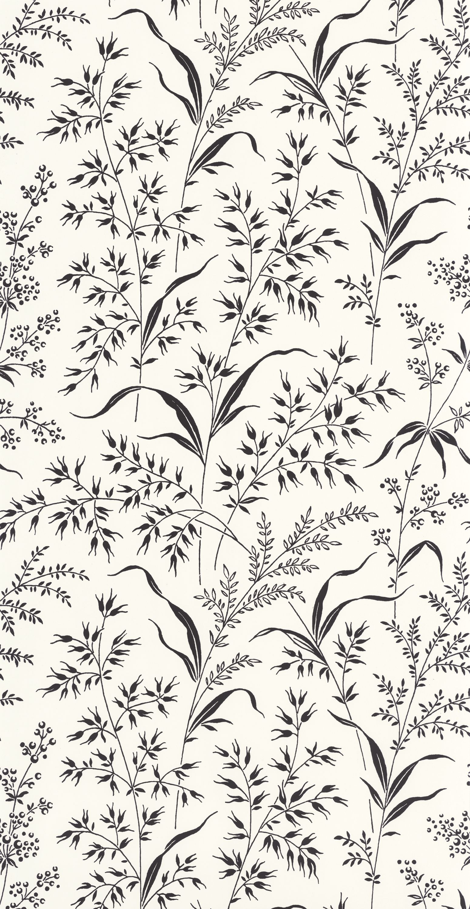 Grass Field - SOLI200280990