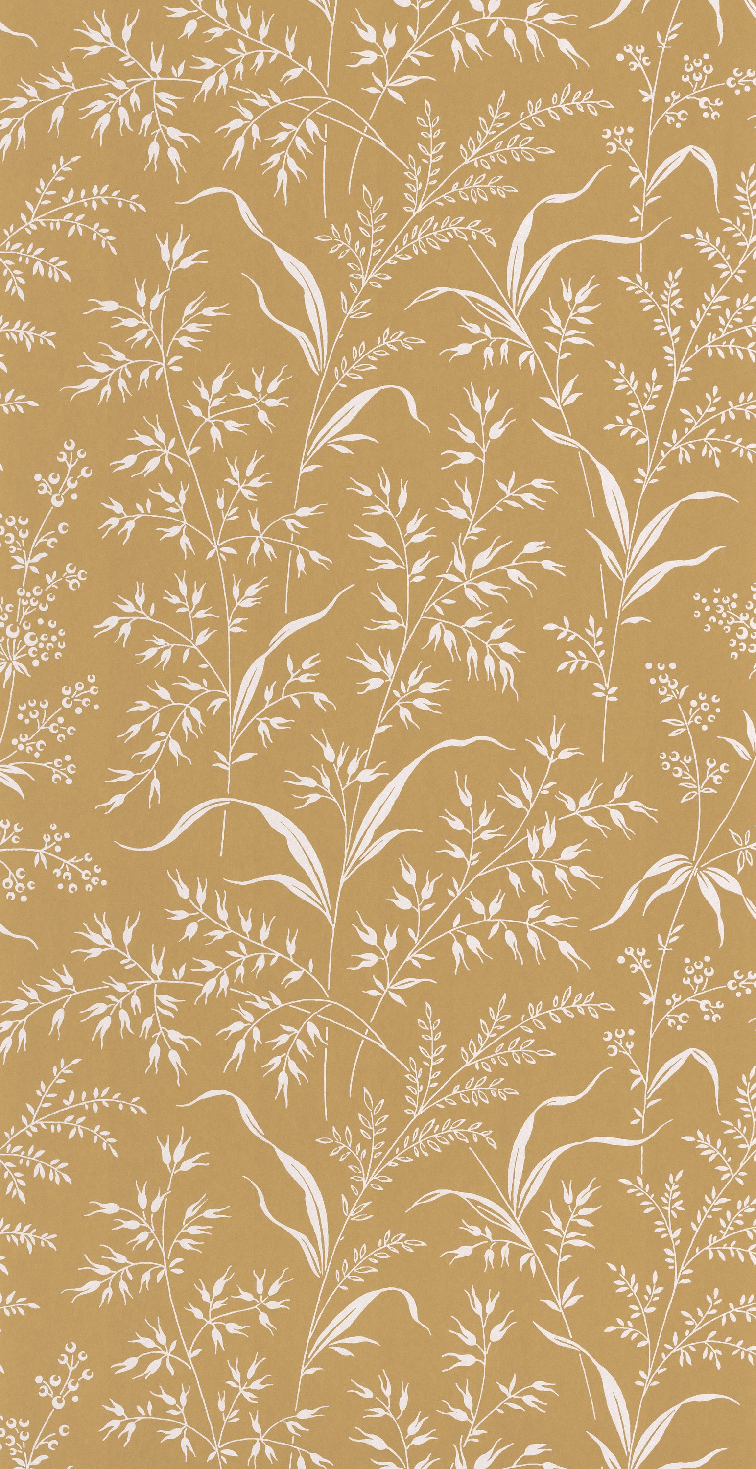 Grass Field - SOLI200282442