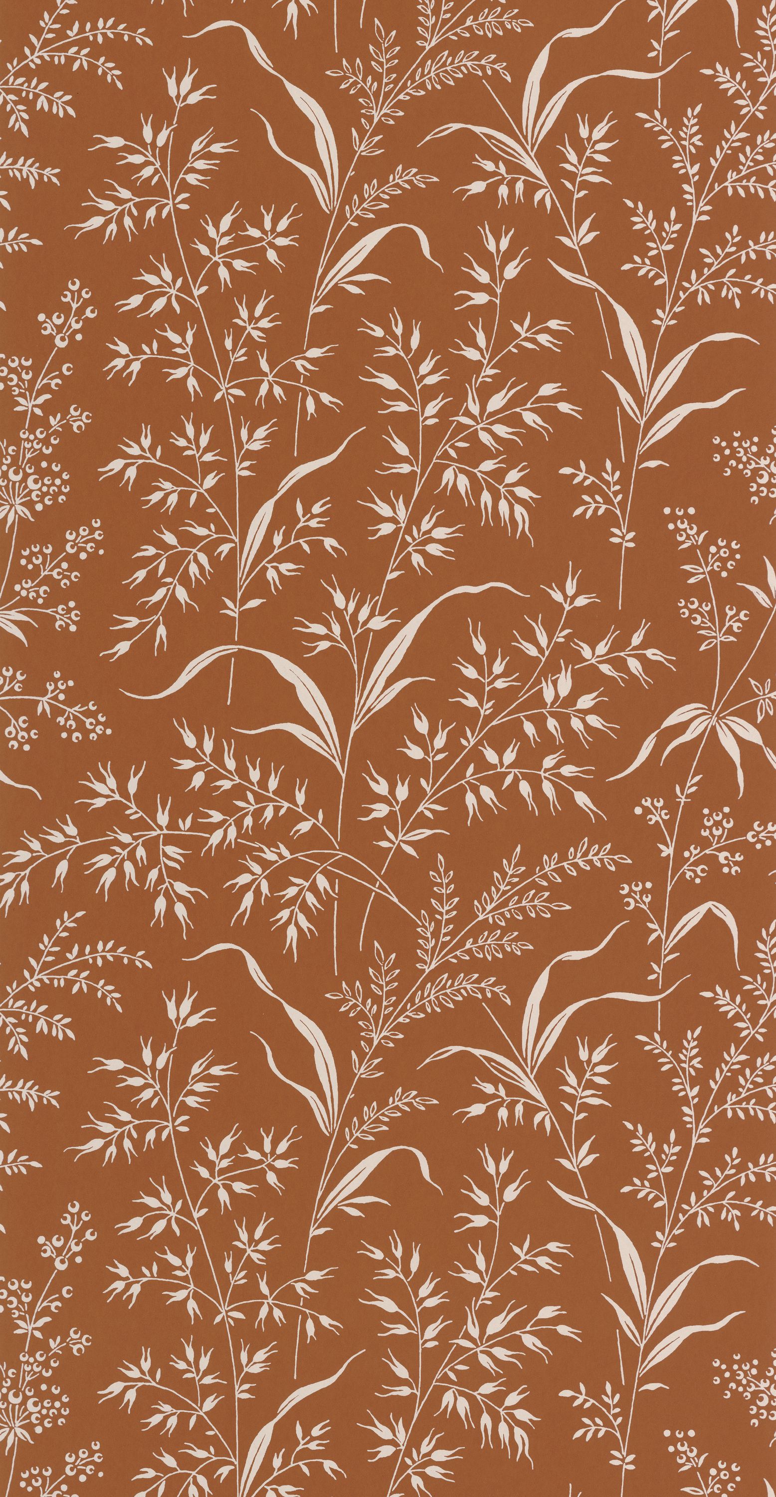 Grass Field - SOLI200283434