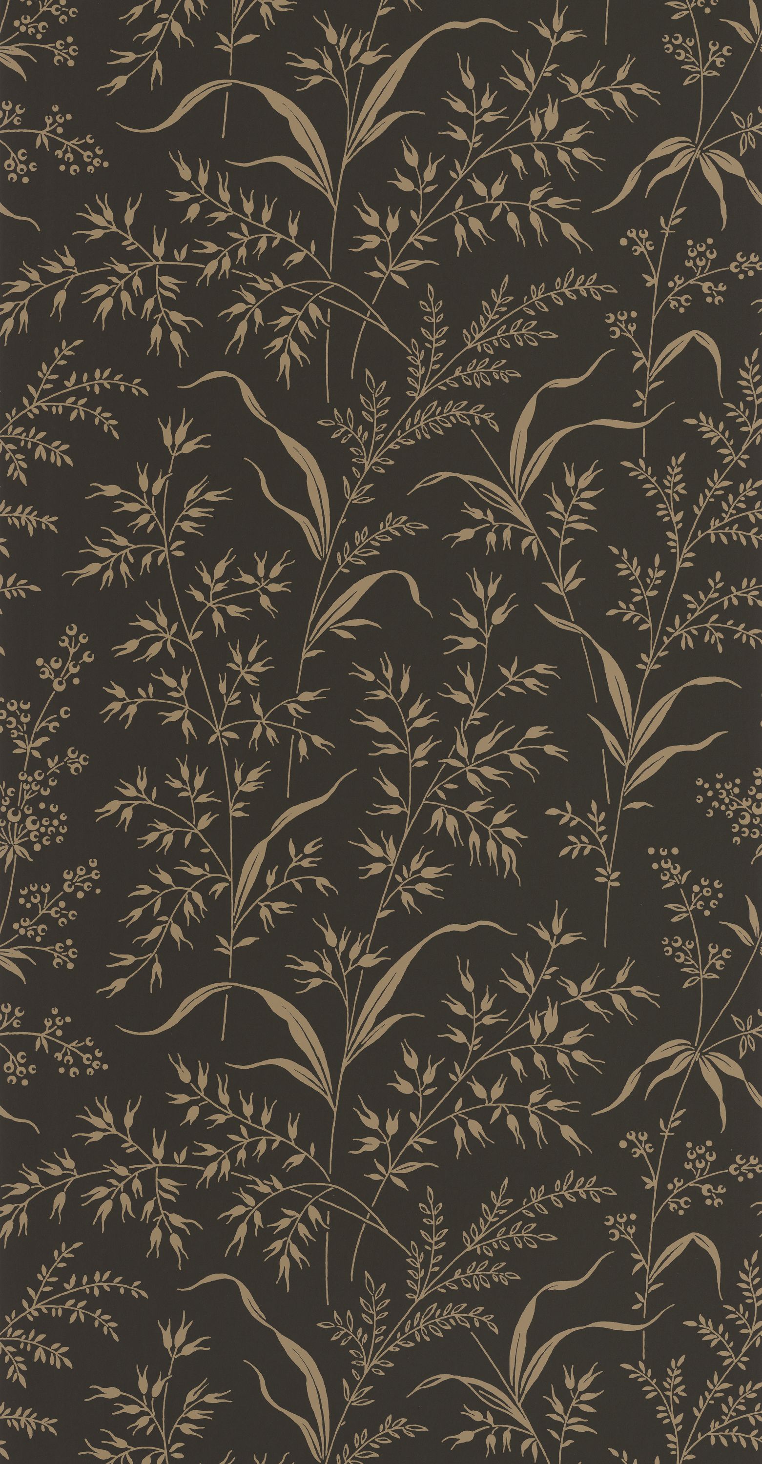 Grass Field - SOLI200289717