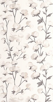 Cotton Flower - SOLI200290909