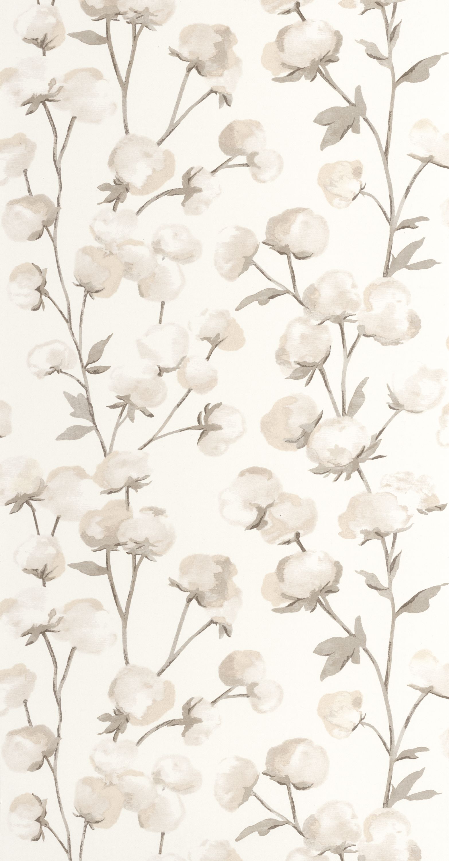 Cotton Flower - SOLI200291111