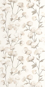 Cotton Flower - SOLI200291111