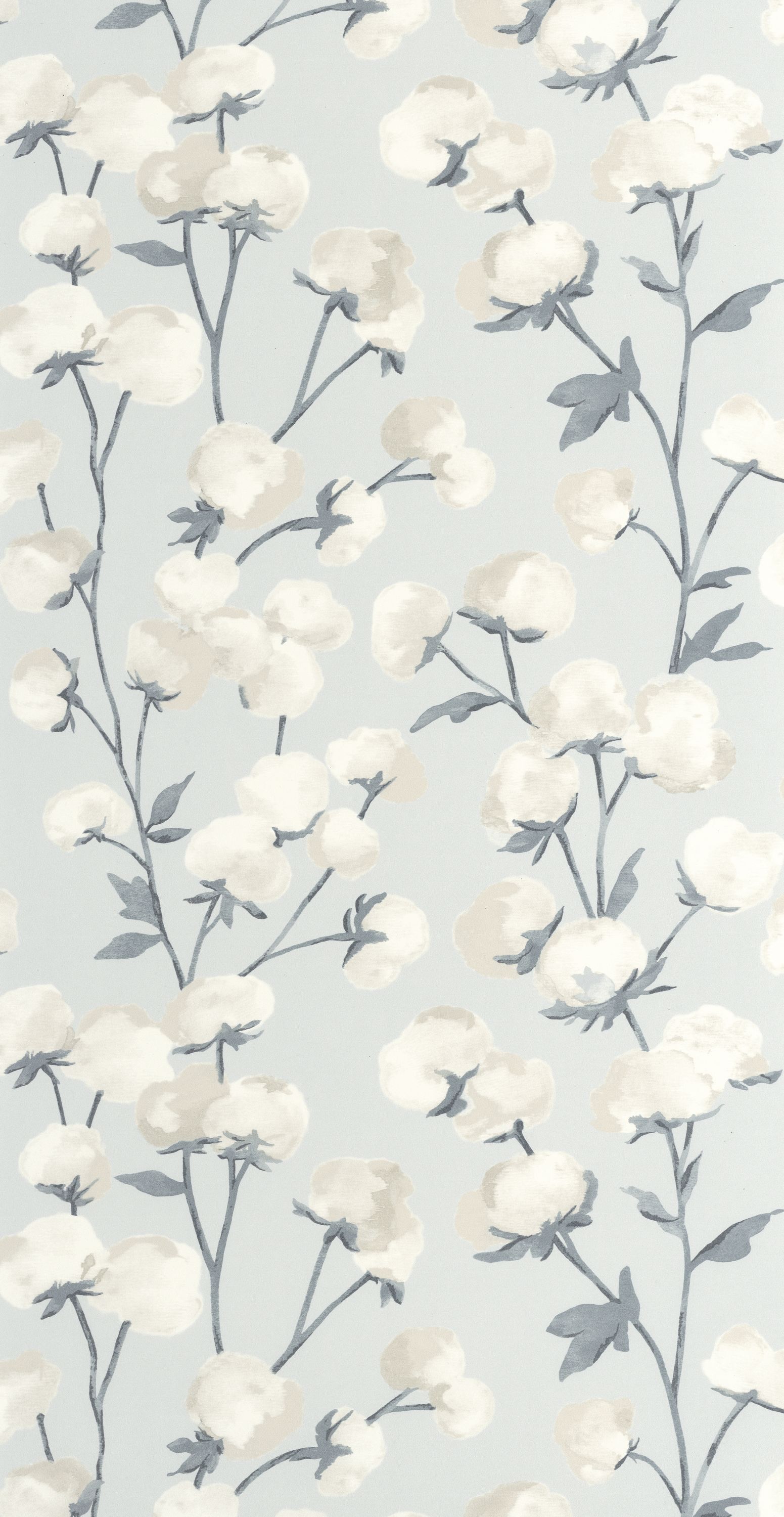 Cotton Flower - SOLI200296226