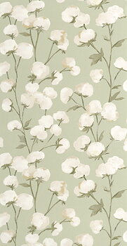 Cotton Flower - SOLI200297202