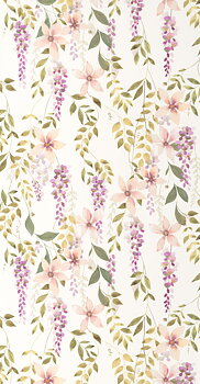 Wisteria - SOLI200305202