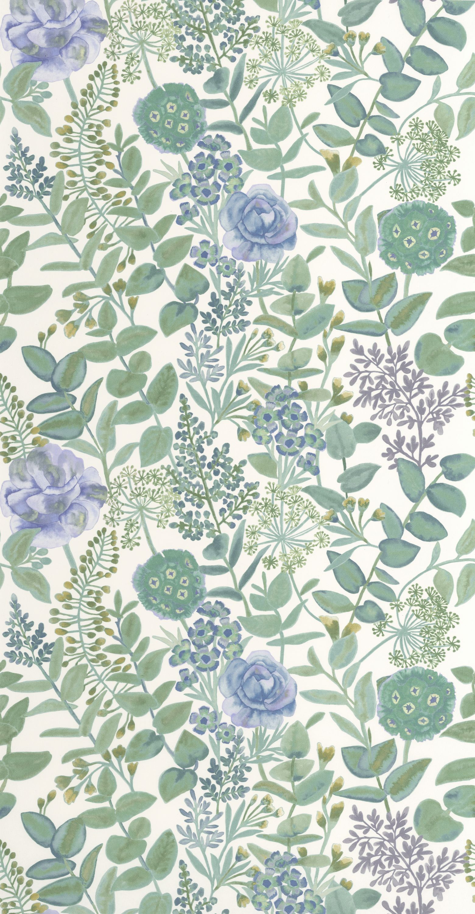 Garden Flowers - SOLI200316776