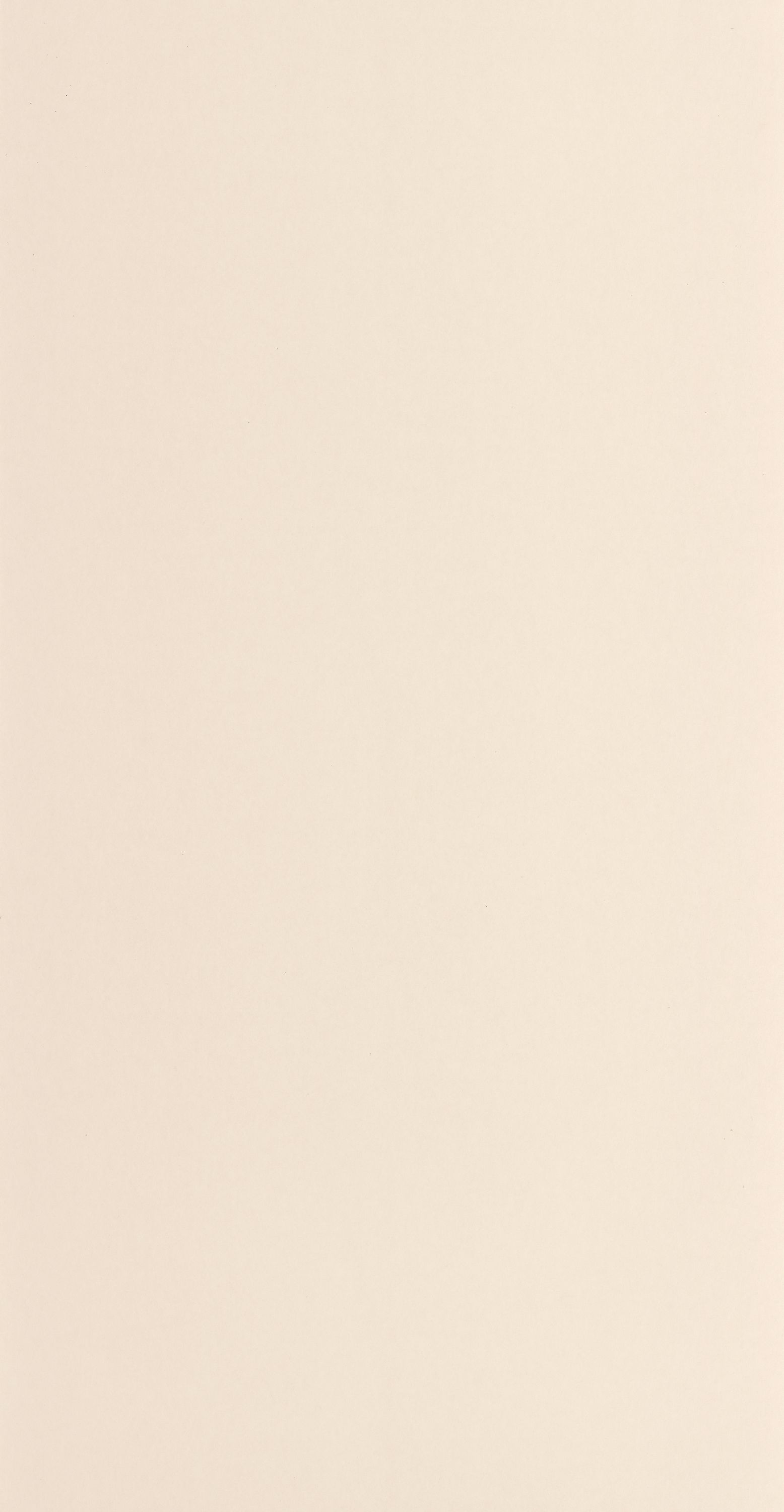 Pigments - SOLI200331101