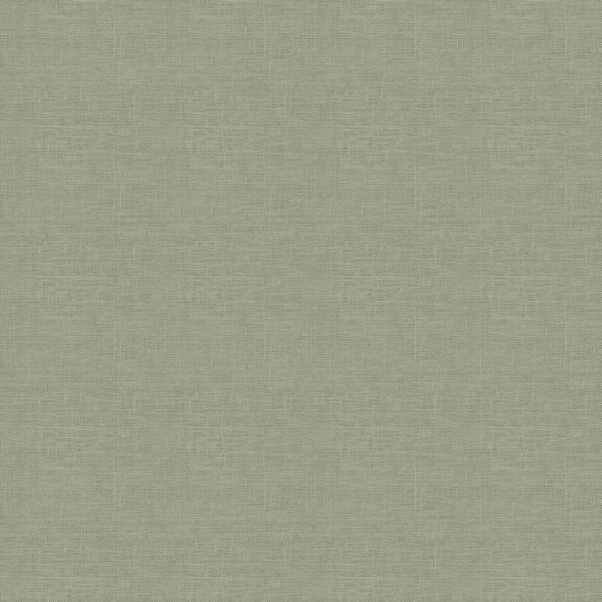 Linen Plain - 3860-1