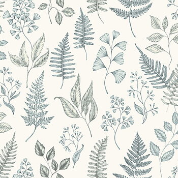 Betula - 15929