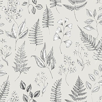 Betula - 15930