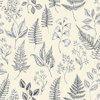 Betula - 15931