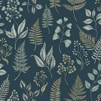 Betula - 15933