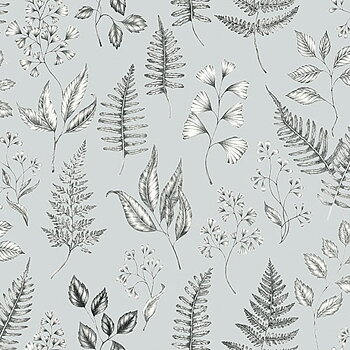 Betula - 15934