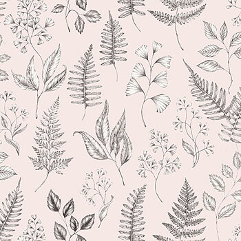 Betula - 15935