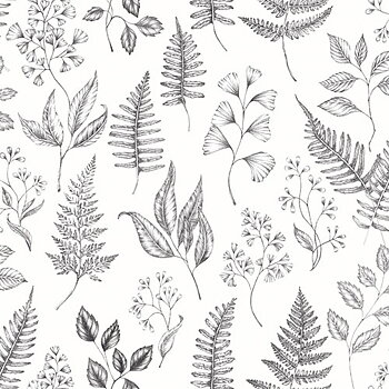 Betula - 15936