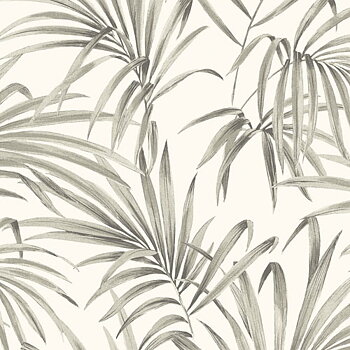 Palm sand - LOT101