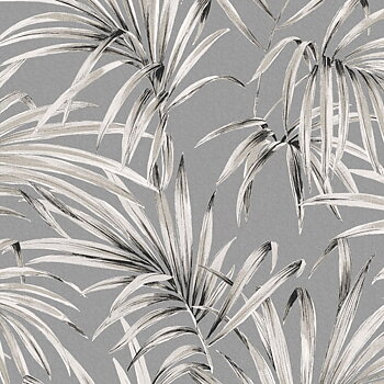 Palm midnight - LOT102