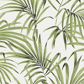 Palm greenery - LOT103