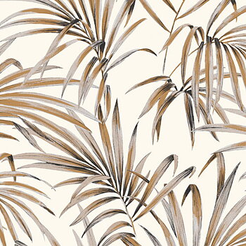 Palm ginger - LOT107