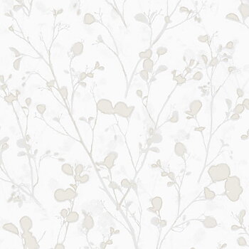 Alder snow - LOT401