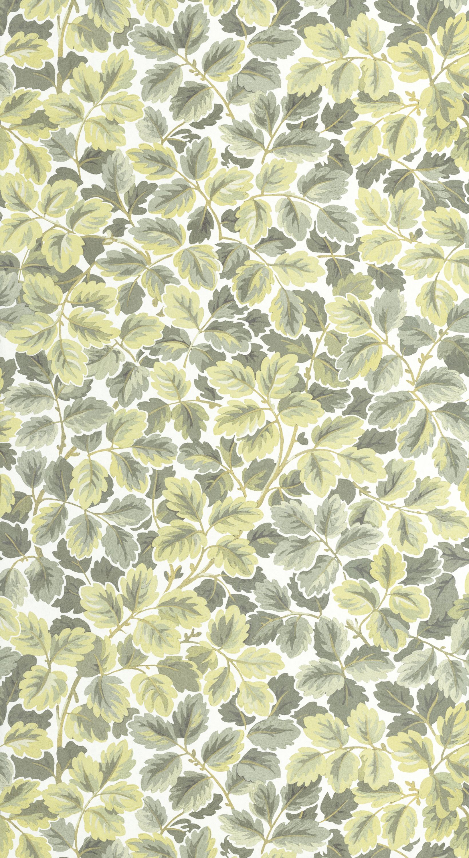 Regent's Park - HETA201207244