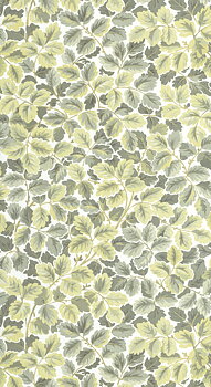 Regent's Park - HETA201207244