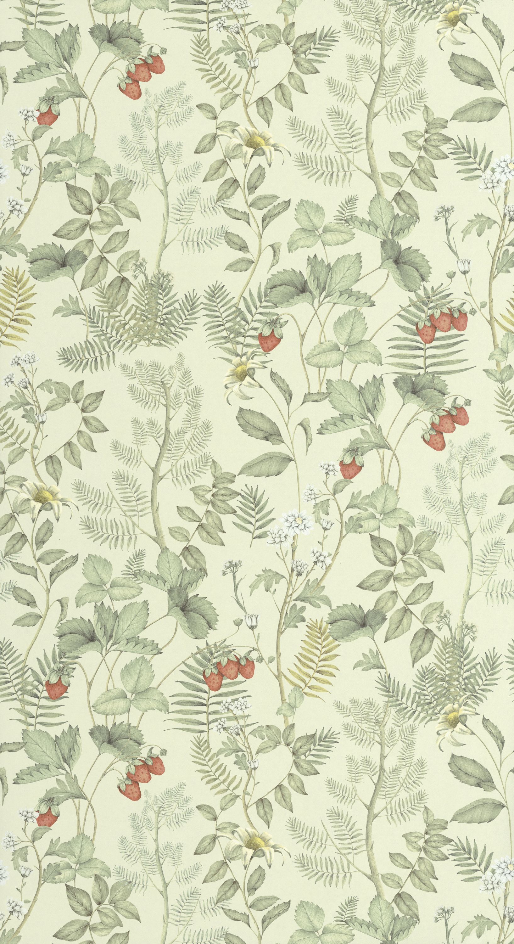 Strawberry Field - HETA201217362