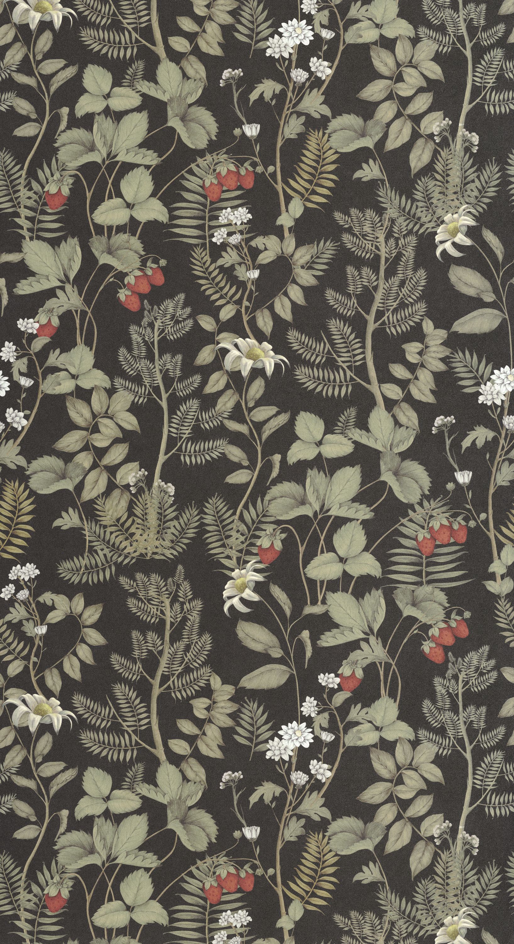 Strawberry Field - HETA201219817