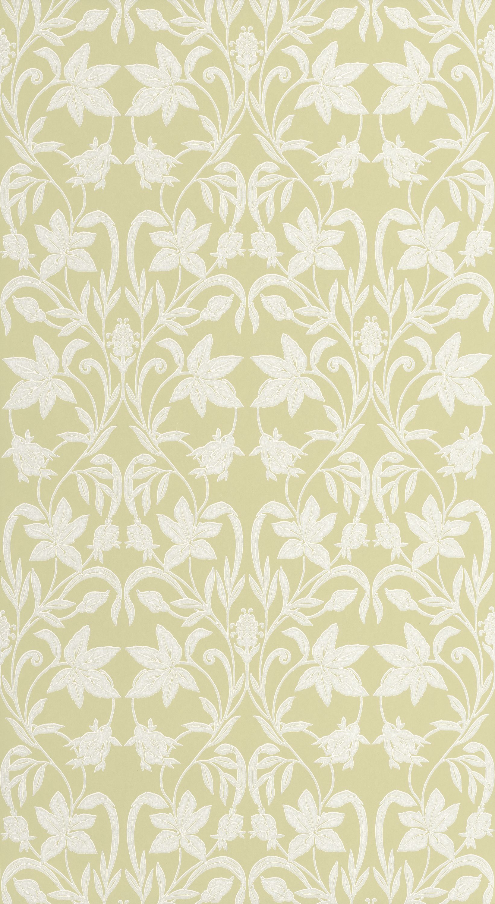 Primrose - HETA201237245