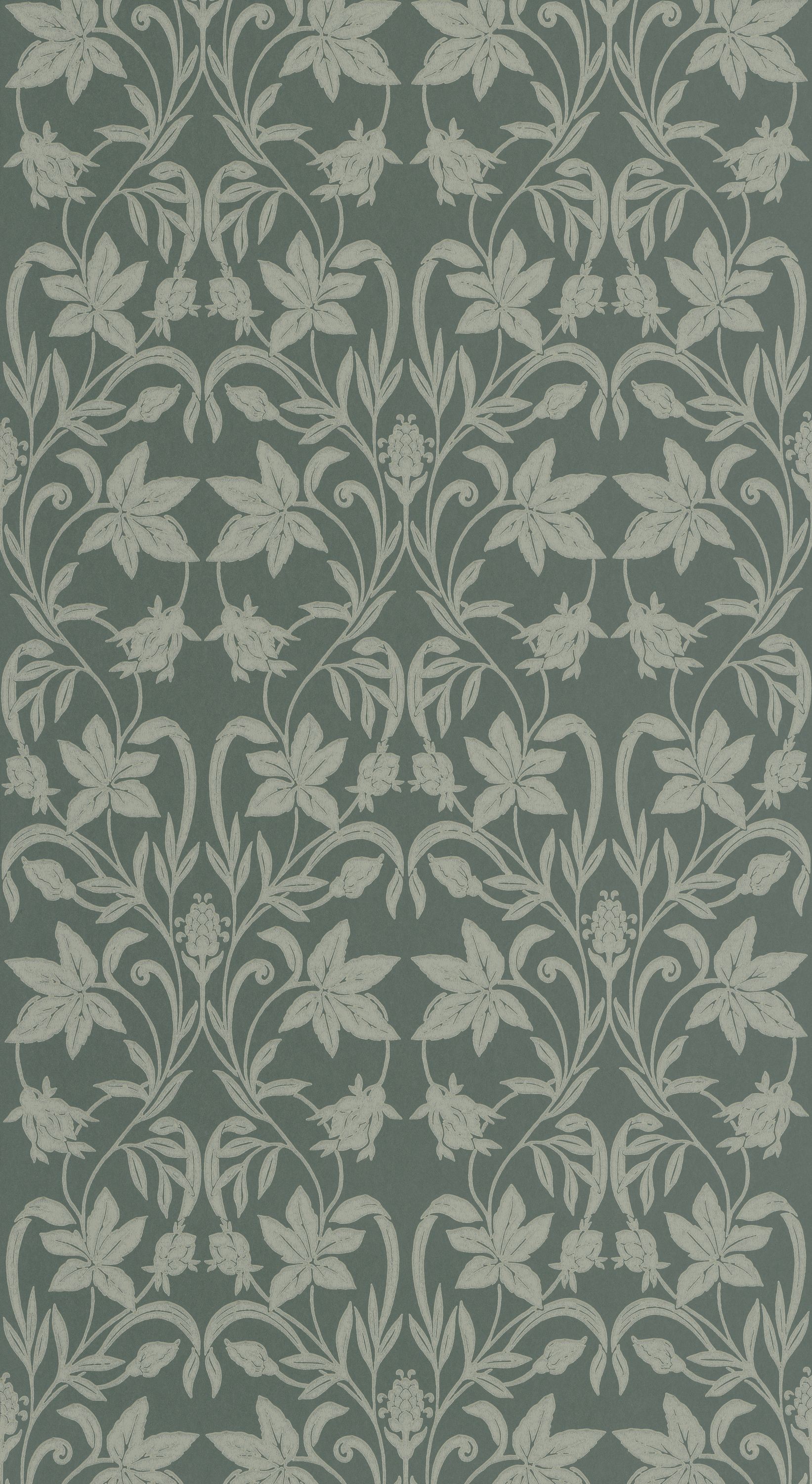 Primrose - HETA201237608