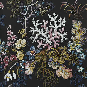 Kilburn's Coral  - 2311-166-04