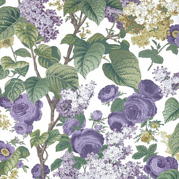 Floribunda - 2311-168-01