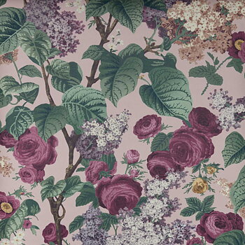 Floribunda - 2311-168-02