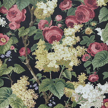 Floribunda - 2311-168-04