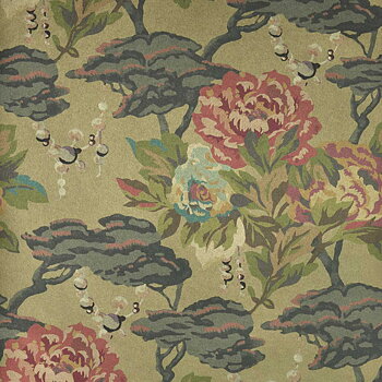 Paeonia - 2311-170-03